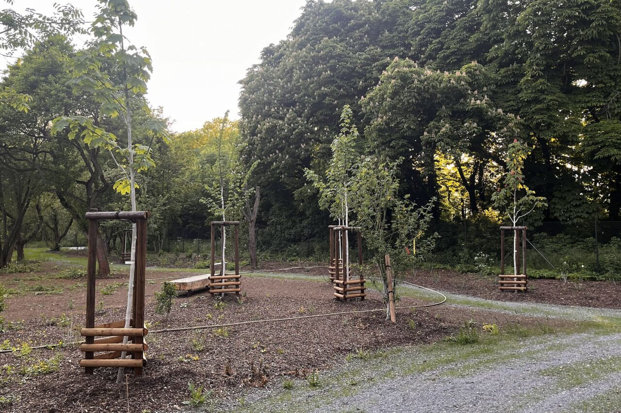 Vzpomínkový park Satalice se řídí permakulturními principy. Foto: Adam Vokáč