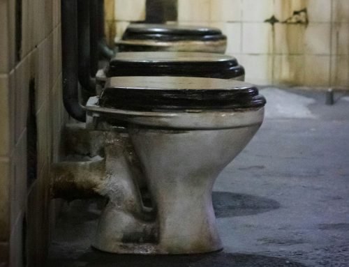 V záchodě končí miliardy dolarů. Problém je, jak dostat nevyužitá hnojiva z kanalizace na pole