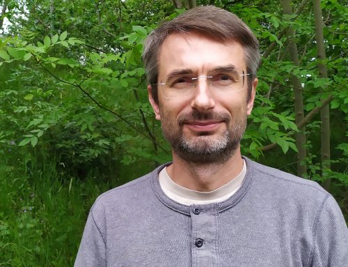 Motýli ve fatální krizi. Vymírání hnědáska jsme pozorovali v přímém přenosu, říká expert na biodiverzitu
