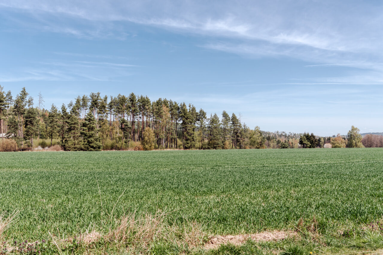 Někde tady na pozemcích za obcí Dolní Cerekev se může v budoucnu rozprostírat povrchový areál. Foto: Kateřina Hefler, Ekonews