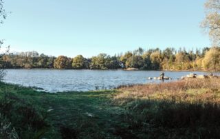 Lokalita Březový potok je malebná krajina v Pošumaví. Čas tady plyne pomaleji než ve městě, lidé jsou zvyklí na svůj klid a bojí se, že obří důlní stavba jim ho vezme. Foto: Kateřina Hefler, Ekonews