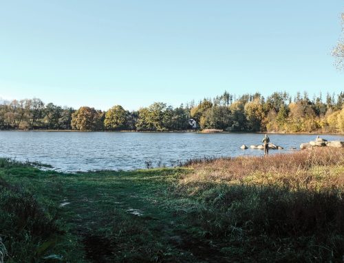 Úložiště jaderného odpadu budou možná v Česku dvě, obávají se obce. Výstavba mezitím nabírá zpoždění
