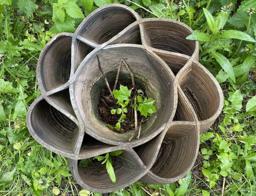 Biodiverzita místo uhlíkové stopy. Nejnovější report o greenwashingu mapuje změny v lakování na zeleno