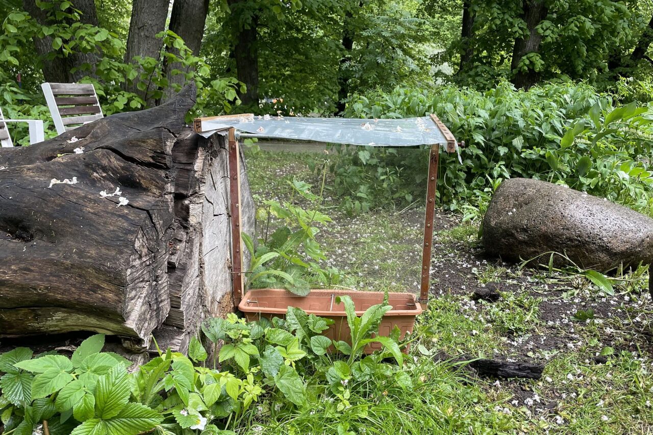 Past na hmyz, kterou sem instalovali výzkumníci v rámci programu urbanLIFEcircle. Foto: Tadeáš Vachek