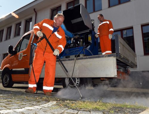 Stříkání chodníků znervózňuje pejskaře. Praha trvá na kontroverzním roundupu, i když alternativy existují