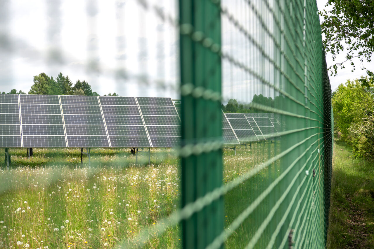 Fotovoltaická elektrárna Skupiny ČEZ v Kuřívodech, které jsou součástí Ralska. Foto: Kateřina Hefler, Ekonews