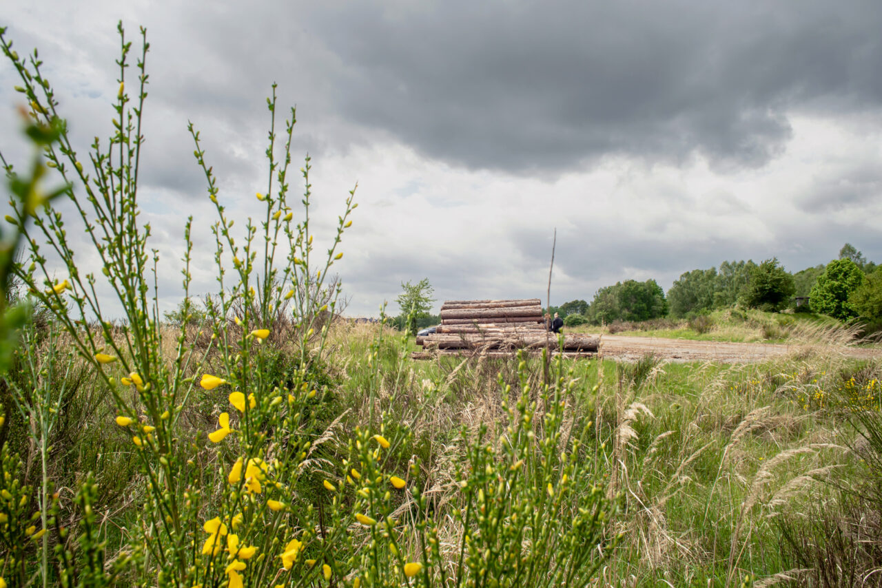 Před zřízením bývalého vojenského prostoru Ralsko se zde nacházelo množství sídel, po kterých zůstalo jen minimum stop. Foto: Kateřina Hefler, Ekonews