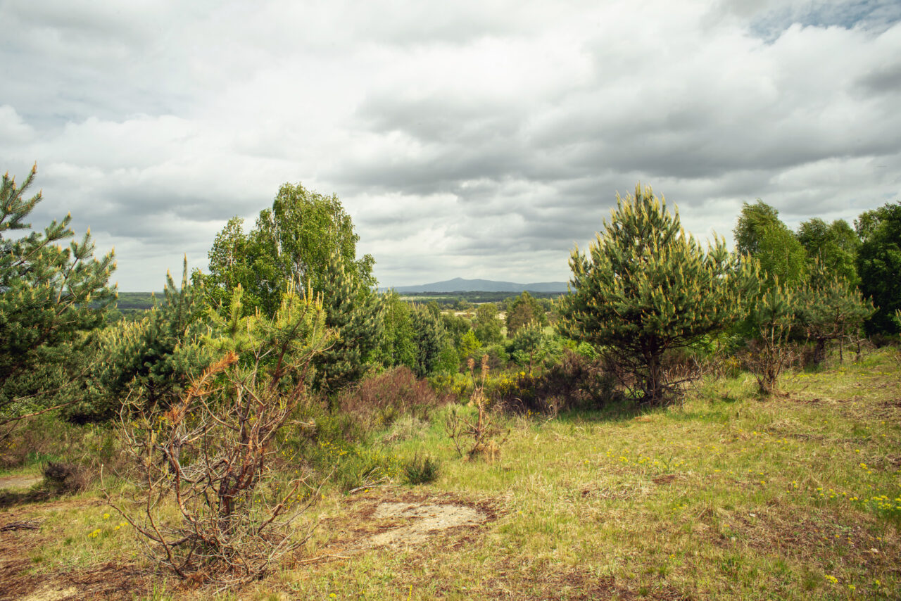 Lokalita mezi Mimoní a Mnichovým Hradištěm totiž patří k vůbec nejslunnějším místům v regionu. Foto: Kateřina Hefler, Ekonews