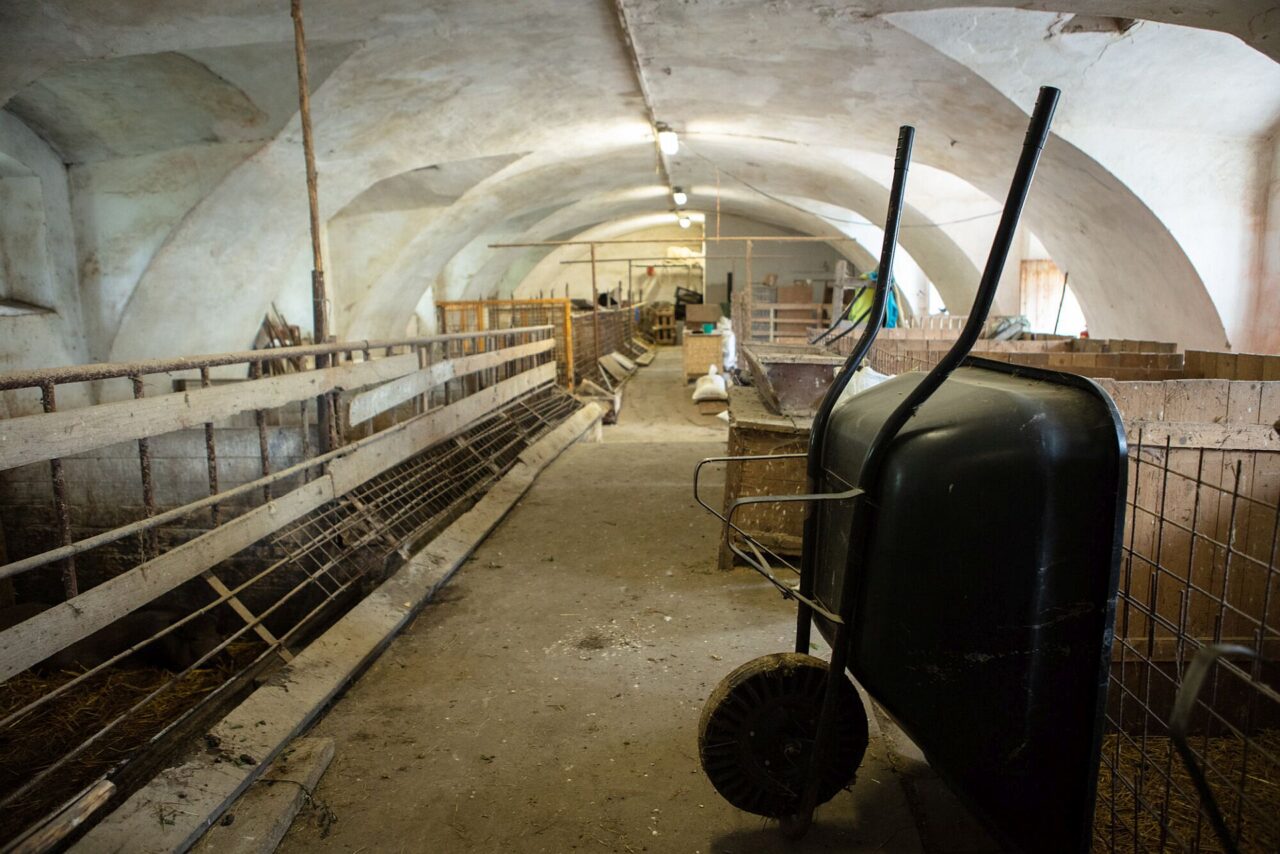 Sociální zemědělství propojuje zemědělskou produkci s terapií při léčbě drogových závislostí. Foto: Sananim