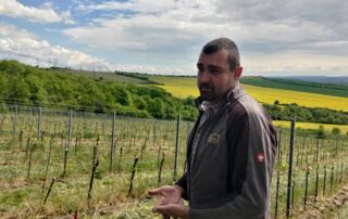 František Vlach sklidil hrozny na své vinici u Vinařů poprvé v roce 2021. Foto: Martina Patočková, Ekonews