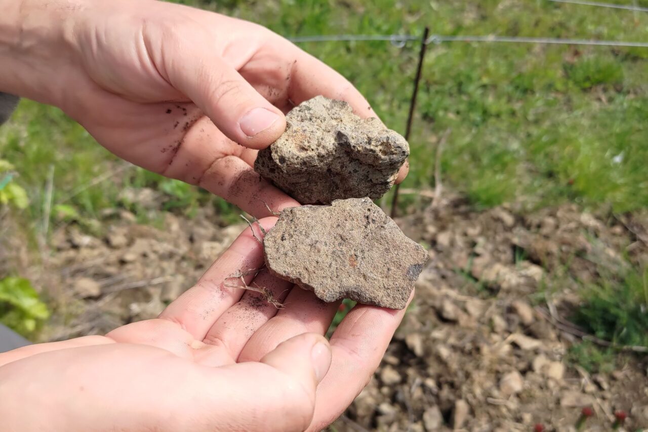František Vlach vysvětluje, že půda na jeho pozemku má specifické vlastnosti a díky jílovitému charakteru dobře zadržuje vodu. Foto: Martina Patočková, Ekonews