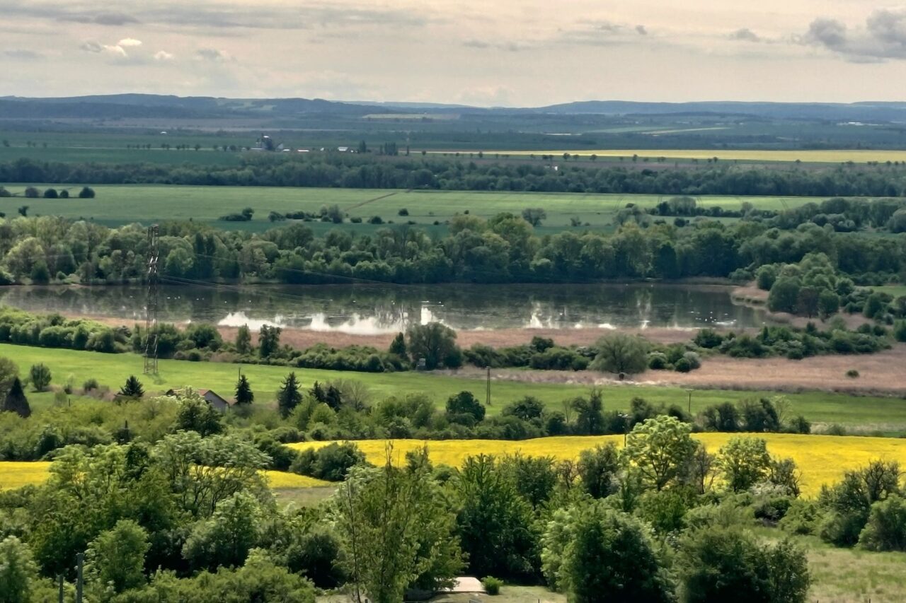 Krajina u Kadaně v západních Čechách je pěstování révy překvapivě nakloněná. Foto: Martina Patočková, Ekonews
