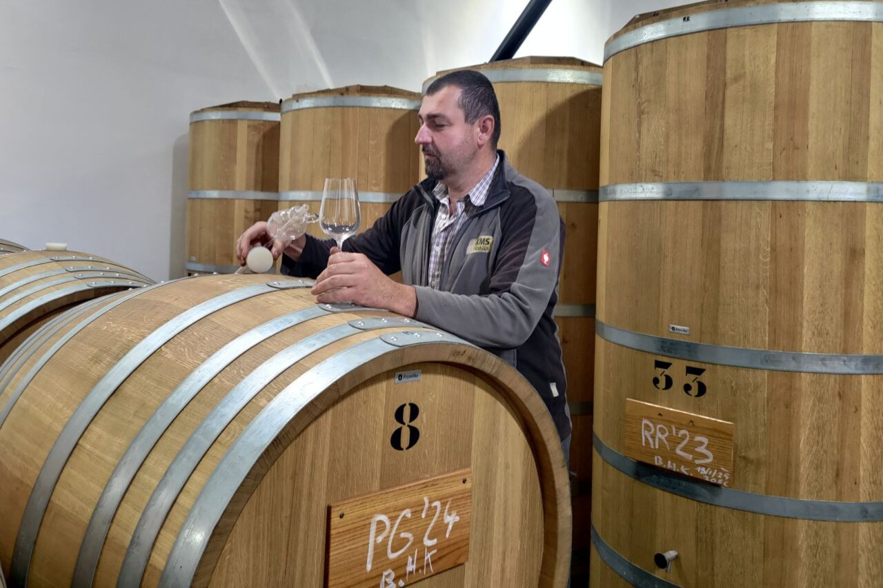 Sudy ve Vinařství Vlach jsou ze středoevropského dubu a většinou nejsou vypálené. Foto: Martina Patočková, Ekonews