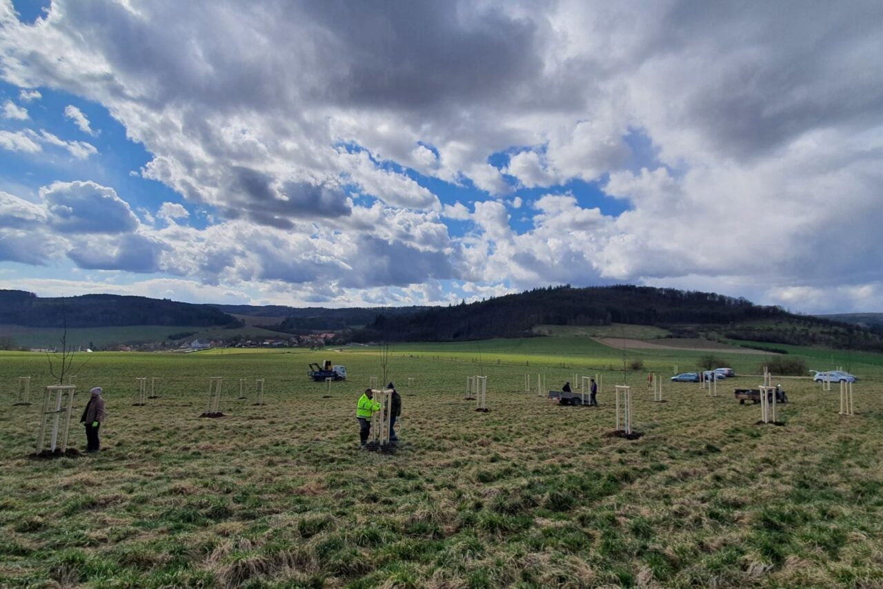 Ze sázení stromů a keřů v obci udělali společenskou událost, kde se pravidelně dvakrát ročně schází celá místní komunita. Foto: poskytnuto Svazem místních samospráv ČR