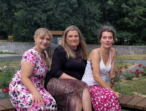 Město růží se vrací. Jihočeská Blatná postupně obnovuje tradici lokálně vyšlechtěných růží
