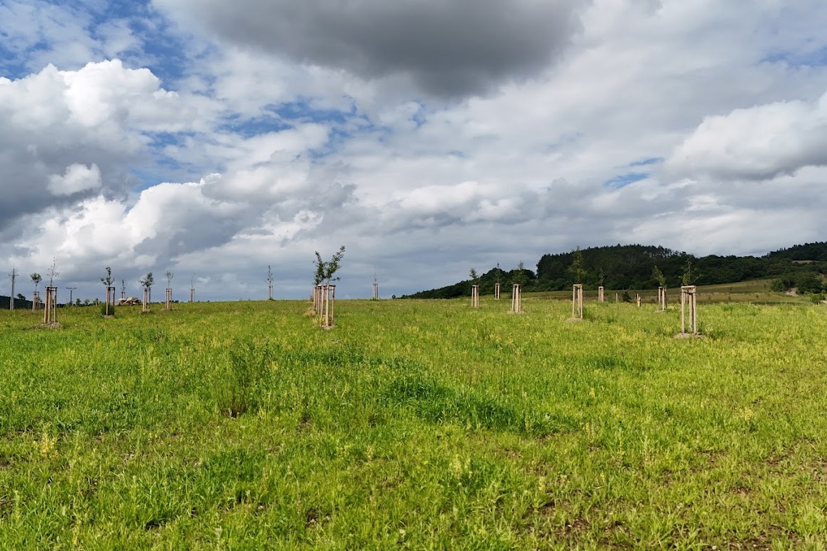 V okolí obce vysázeli tisíce stromů a keřů a zcela změnili ráz okolní krajiny. Foto: poskytnuto Svazem místních samospráv ČR