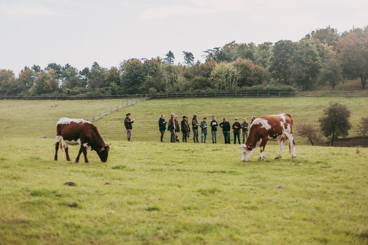 Farmářská škola už tři roky učí o ekologickém zemědělství v praxi. Foto: Lokálové, poskytnuto Farmářskou školou