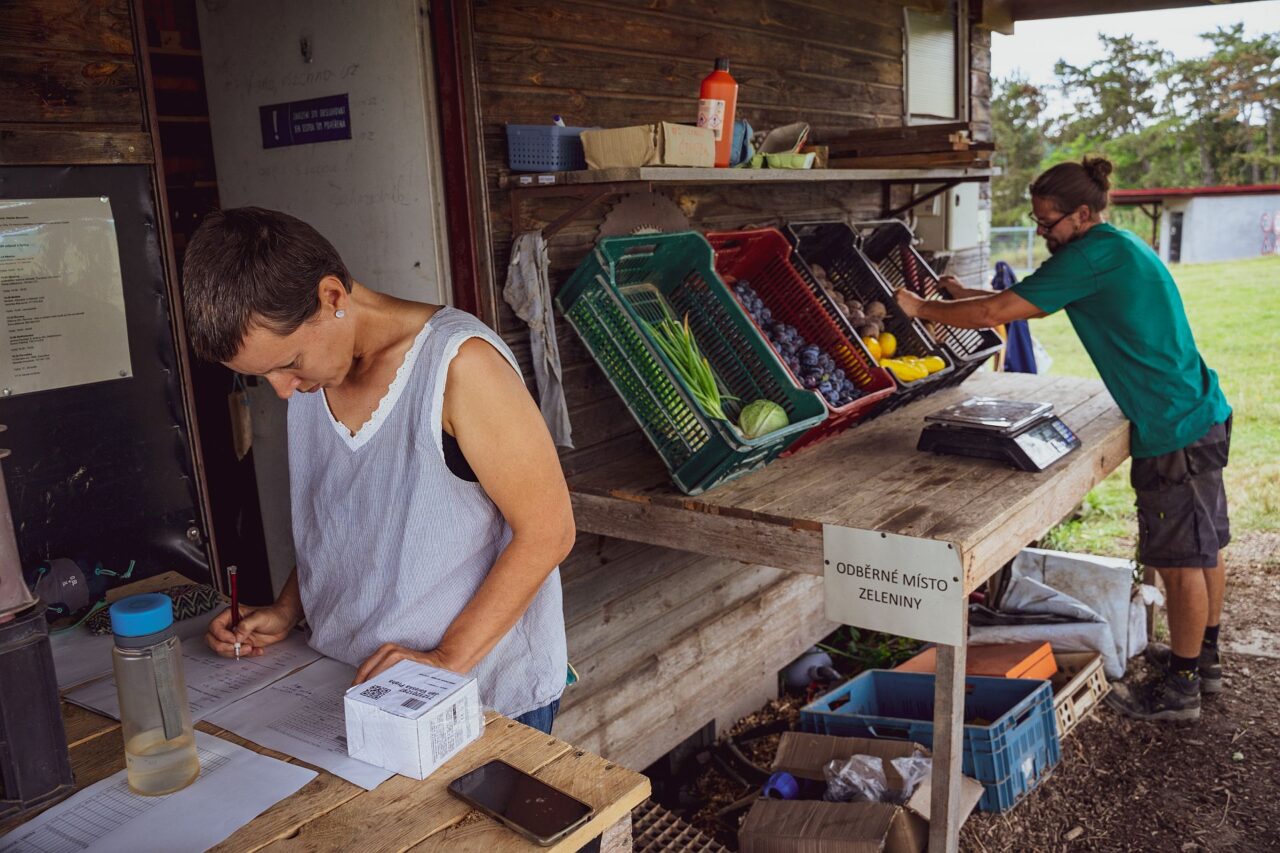 Na školní farmě fungují na principu komunitou podporovaného zemědělství, kdy si lidé zaplatí dopředu odběr zeleniny a podpoří tak chod farmy. Foto: Martin Vyhnal, poskytnuto Farmářskou školou