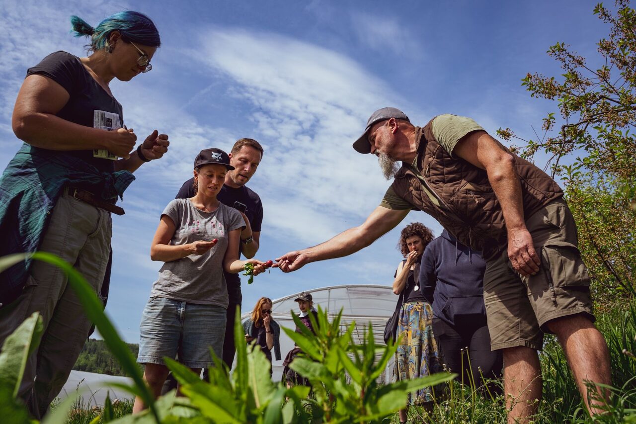 Studenti se o ekologickém zemědělství učí většinou přímo v terénu. Foto: Martin Vyhnal, poskytnuto Farmářskou školou