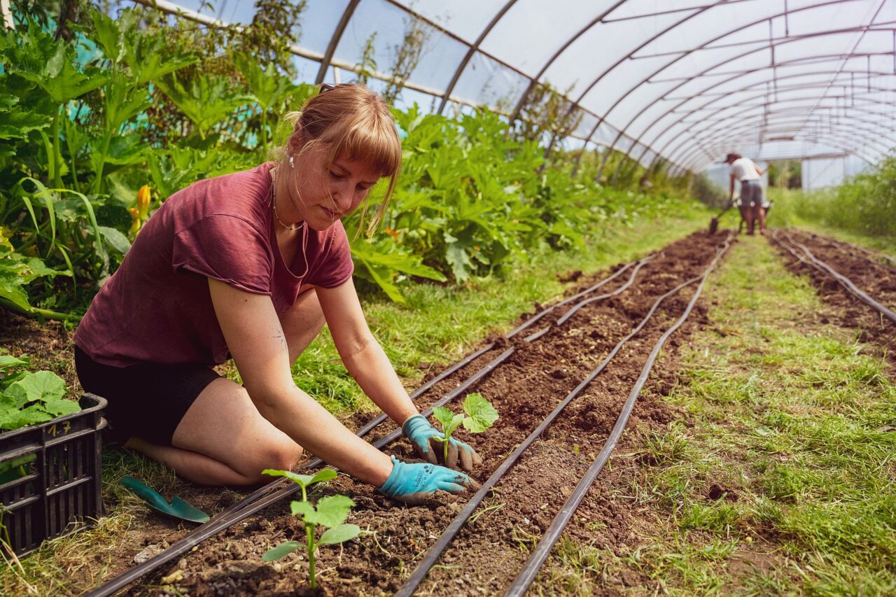 Letos školu dokončili první absolventi, aktuálně jich studuje přes 130. Foto: Martin Vyhnal, poskytnuto Farmářskou školou