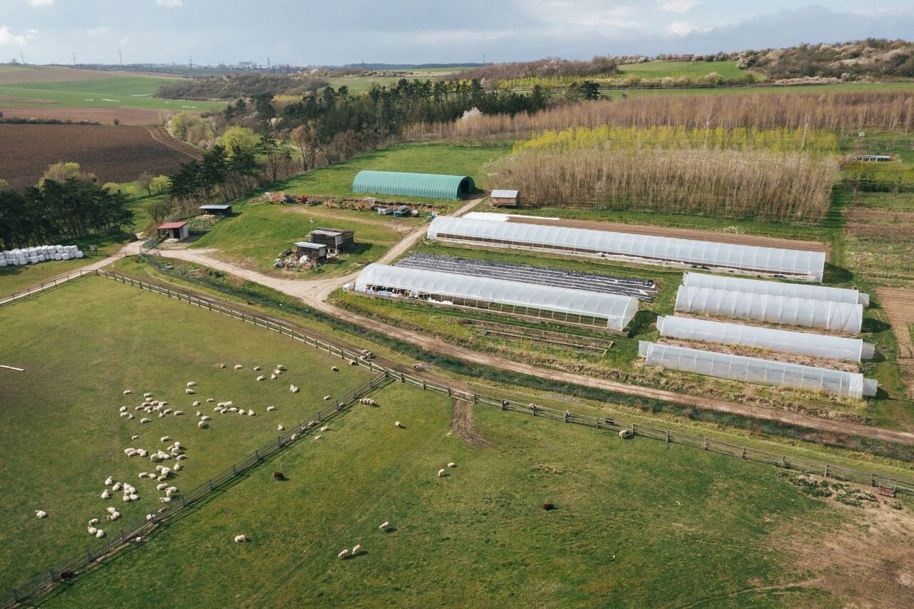Na hranicích Prahy funguje Farma Jednorožec, kterou vedou absolventi společně se studenty na praxi. Foto: Martin Matěj, poskytnuto Farmářskou školou