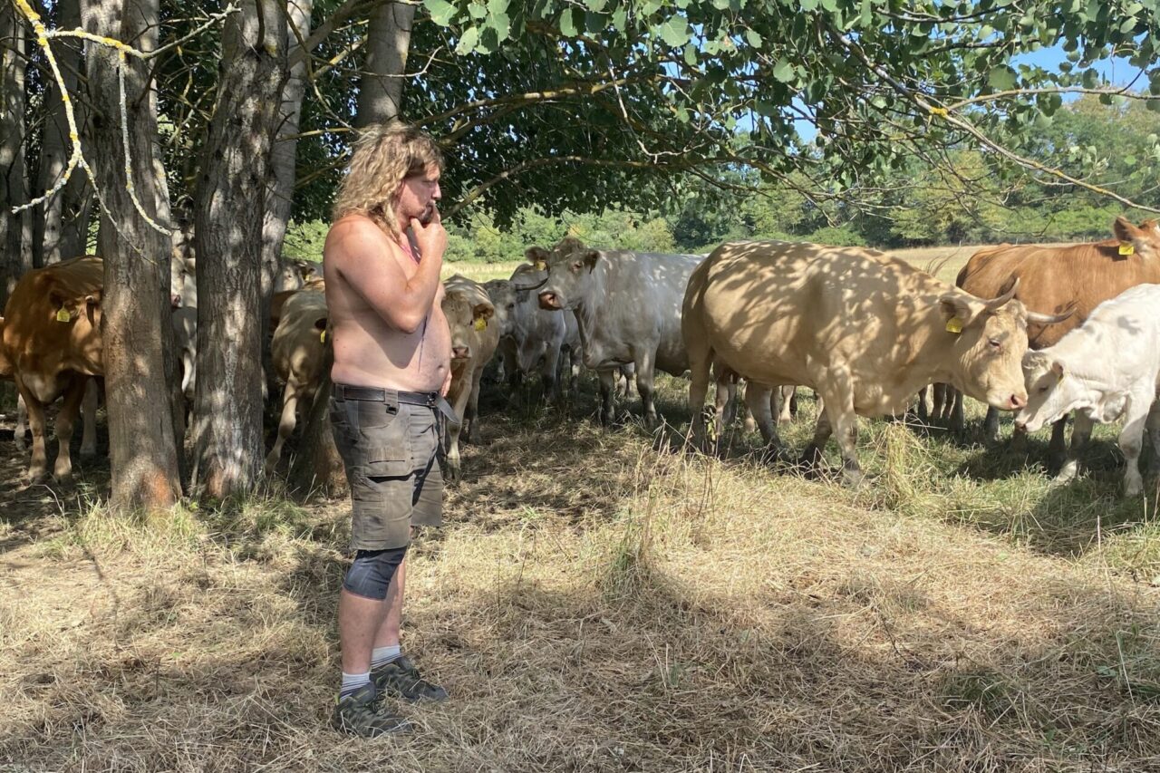„Budu muset prodat, co půjde,“ říká farmář Radek Janda s pohledem směrem ke stádu. Foto: Veronika Němcová, Ekonews