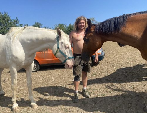Je to jako na poušti, říká farmář z Pošumaví. Část chovu musí dát kvůli suchu pryč