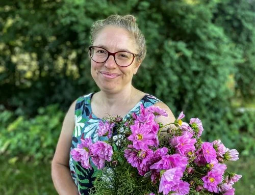 Pěstování řezaných květin v Česku je čím dál těžší kvůli extrémním výkyvům počasí, říká floristka