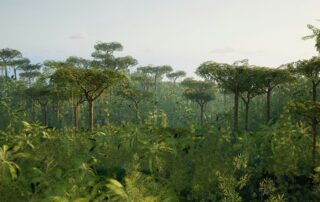 Brazilská společnost Mombak chce obnovovat amazonský prales díky prostředkům korporátních odběratelů uhlíkových kreditů. Ilustrační foto: Alexander Mils, Unsplash