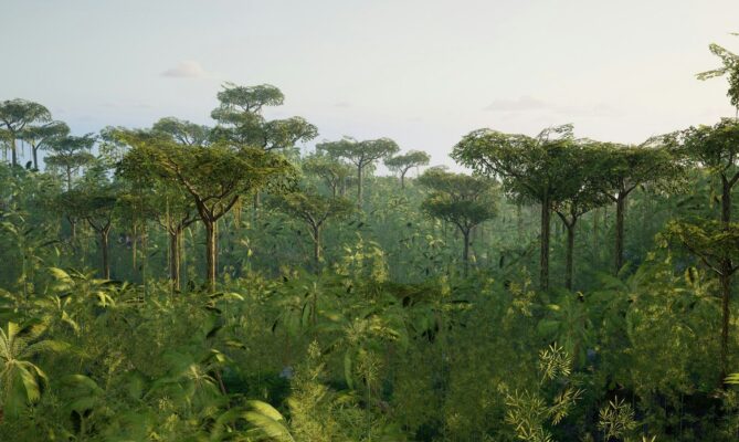 Brazilská společnost Mombak chce obnovovat amazonský prales díky prostředkům korporátních odběratelů uhlíkových kreditů. Ilustrační foto: Alexander Mils, Unsplash