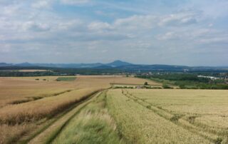 Letošní sklizeň je u konce a výnosy jsou u hlavních obilnin podprůměrné. Ilustrační foto: Ilia H., Unsplash
