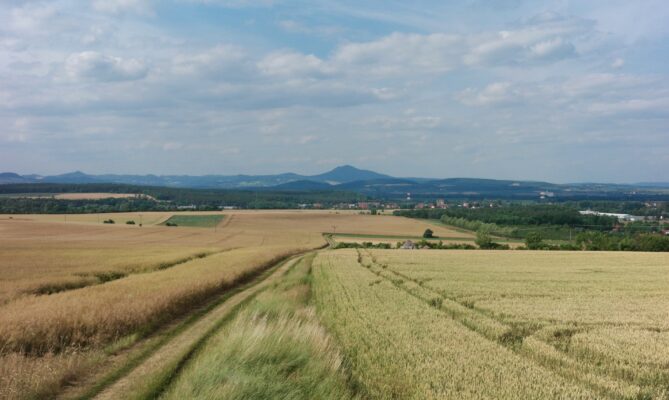 Letošní sklizeň je u konce a výnosy jsou u hlavních obilnin podprůměrné. Ilustrační foto: Ilia H., Unsplash