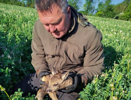 Začínáme se posouvat od myslivosti a lovu k pouhému zabíjení. Zvěř musí mít šanci, uvádí myslivec