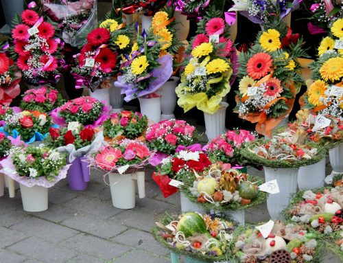 Jak se uspávají a probouzejí růže. Na holandské burze jsou nejdražší lilie a orchideje, říká nákupčí