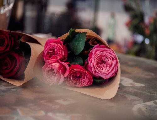 Jak se uspávají a probouzejí růže. Na holandské burze jsou nejdražší lilie a orchideje, říká nákupčí