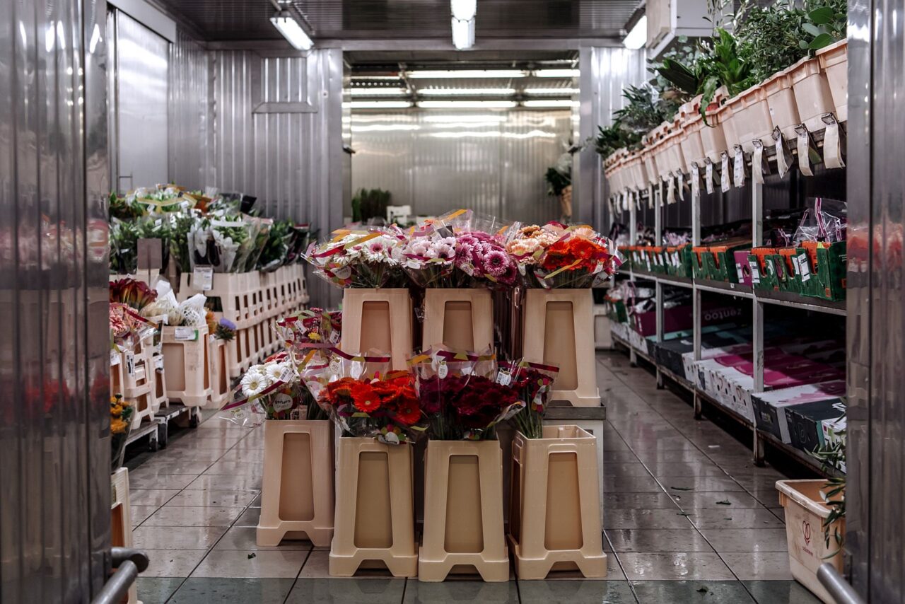 Tulipa každoročně prodá kolem pěti milionů květin. Foto: Kateřina Hefler, Ekonews