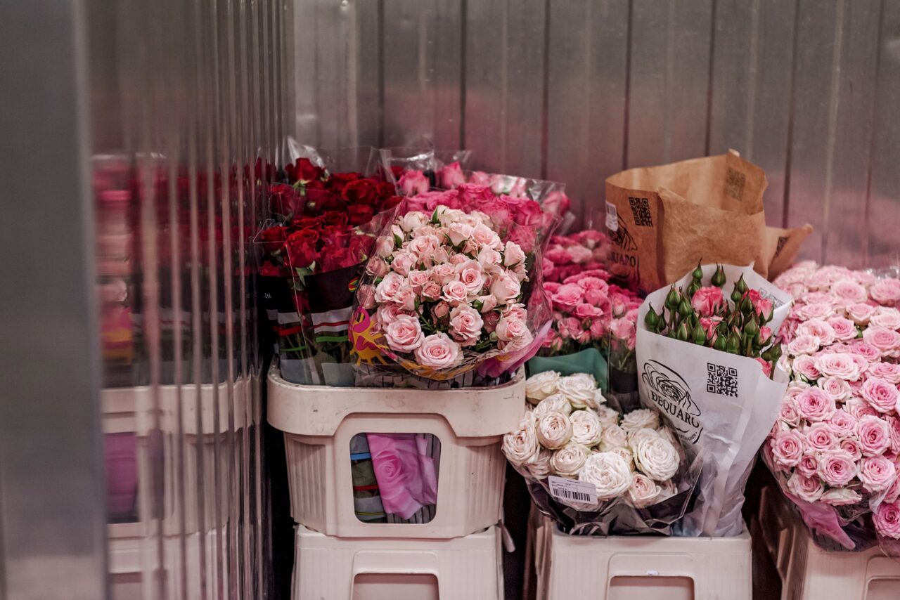 Při zvýšené poptávce na Valentýna se cena růží z Kolumbie a Ekvádoru může ztrojnásobit. Foto: Kateřina Hefler, Ekonews
