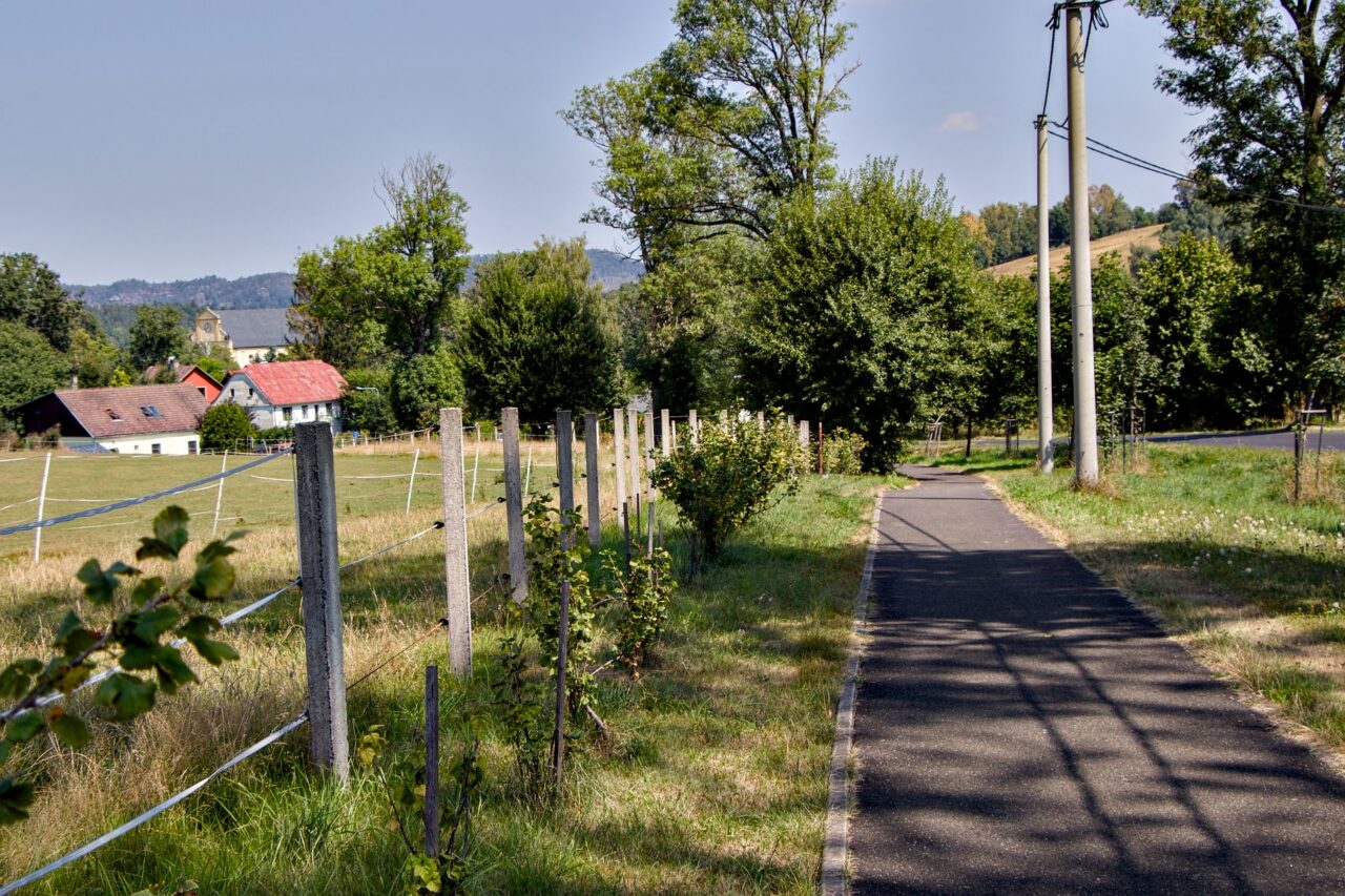 V okolí obce Růžová vysázeli stovky stromů a keřů, vybudovali velký průleh a obnovili bývalé polní cesty, aby zabránili povodním. Foto: Karolína Chlumecká, Ekonews