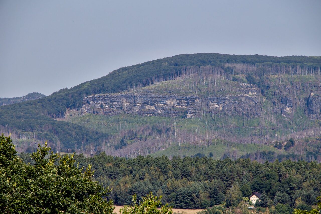 Místní pomáhali při požáru Národního parku České Švýcarsko v létě roku 2022, jehož pozůstatky jsou zde patrné dodnes. Foto: Karolína Chlumecká, Ekonews