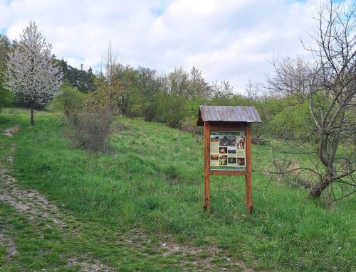 Komentář: Stavbu obchvatu i domů v Krnově chápeme, ochranu přírody ale radnice zbytečně odkládá na neurčito