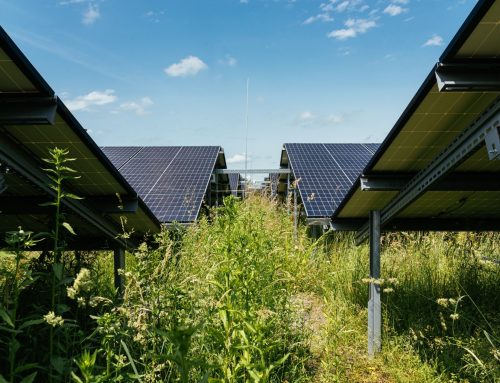 Tradiční TON šetří na energiích. Využívá soláry, velké bateriové úložiště i umělou inteligenci