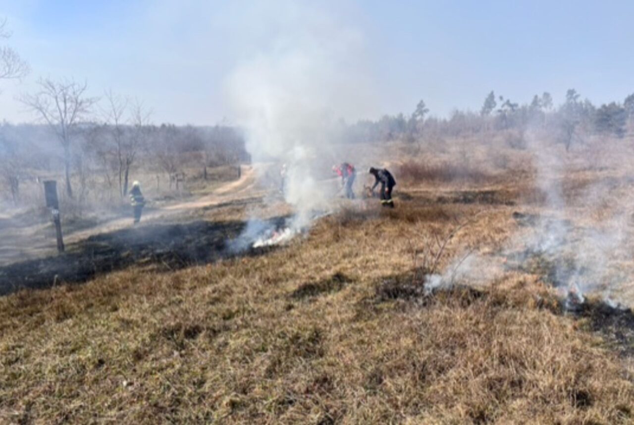 Praktické zkoušky řízeného vypalování dokazují, že pod dohledem odborníků a hasičů jde o bezpečnou metodu péče o ekosystémy. Foto: poskytnuto Markétou Ekrt Válkovou