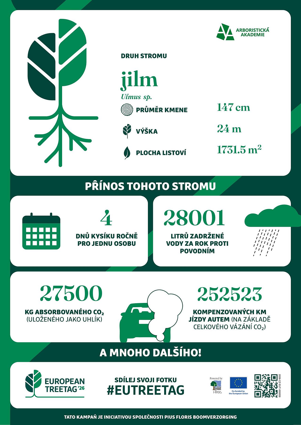 Olomoucký jilm dostal v rámci projektu TreeTag tento informační štítek. Foto: Arboristická akademie