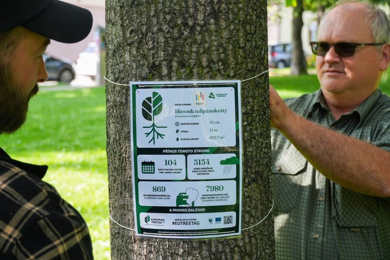 Kolín je jedním ze čtrnácti českých měst, která se do projektu zatím přihlásila. Foto: Arboristická akademie